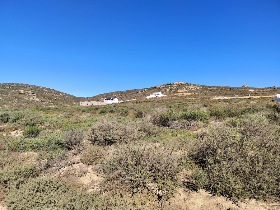 0 Bedroom Property for Sale in Steenbergs Cove Western Cape